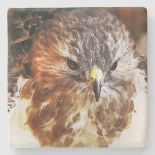DESSOUS-DE-VERRE EN PIERRE ROUGE TAILLÉ HAWK