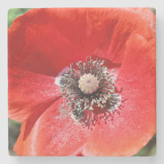 Dessous-de-verre En Pierre Rouge Vibrant Macro Botanique Poppy Floral