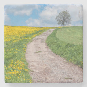Dessous-de-verre En Pierre Route de terre et arbre