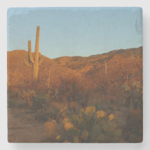 Saguaro Sunset I Arizona Désert Paysage