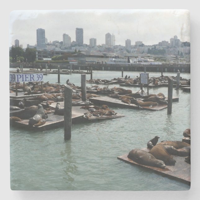 Dessous-de-verre En Pierre San Francisco et Pier 39 Sea Lions City Skyline (Devant)