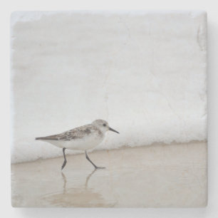 Dessous-de-verre En Pierre Sandpiper Shorebird Beach House Dessous de verre e
