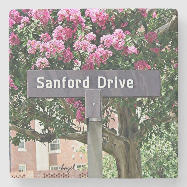 Dessous-de-verre En Pierre Sanford Drive Flowers Athens Georgia Dessous de ve (Devant)