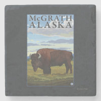 Scène de bison - McGrath, Alaska