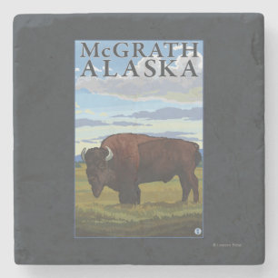 Dessous-de-verre En Pierre Scène de bison - McGrath, Alaska