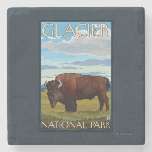 Dessous-de-verre En Pierre Scène de bison - parc national de glacier, la TA