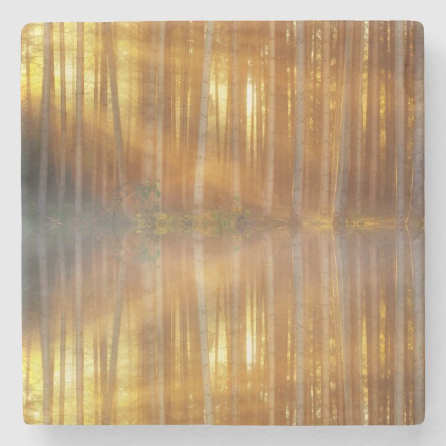 Dessous-de-verre En Pierre Scène de la forêt de Misty (Devant)