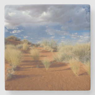 Dessous-de-verre En Pierre Scène du désert du Kalahari, Kgalagadi Transfronti