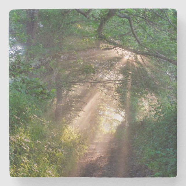 Dessous-de-verre En Pierre sentier forestier (Devant)