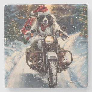 Dessous-de-verre En Pierre Setter Anglais Chien à Moto Noël