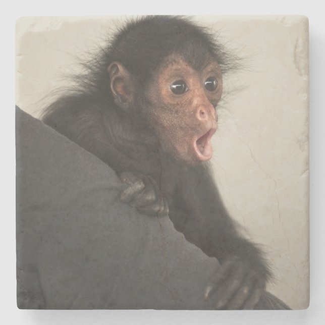Dessous-de-verre En Pierre Singe araignée à face rouge Ateles paniscus) (Devant)