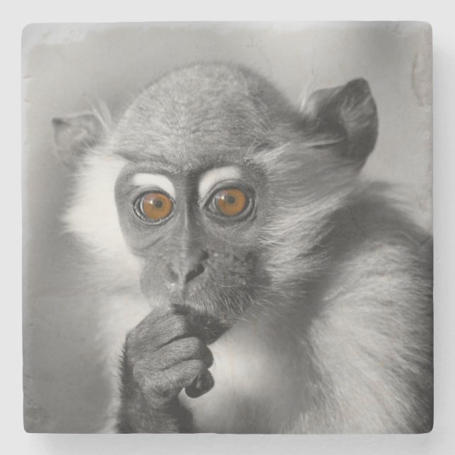 Dessous-de-verre En Pierre Singe de Mangabey de bébé (Devant)