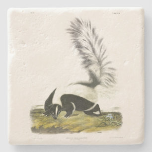 Dessous-de-verre En Pierre Skunk à capuchon ou Skunk à grande queue d'Audubon
