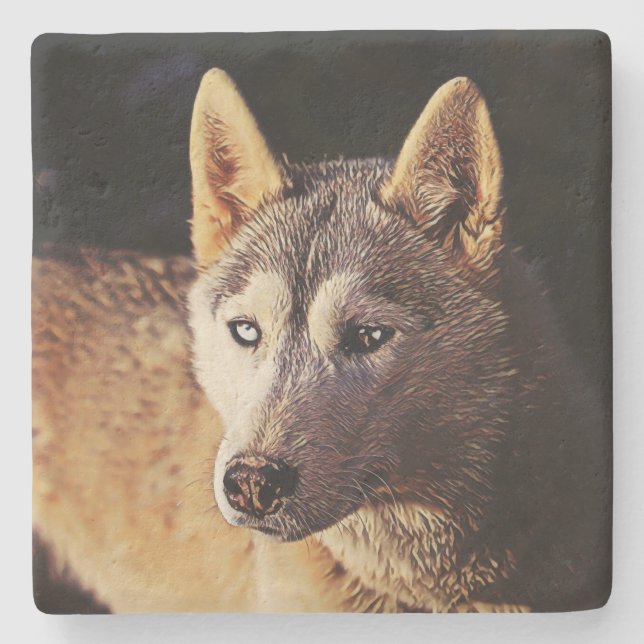 Dessous-de-verre En Pierre smartmix animal- loup (Devant)