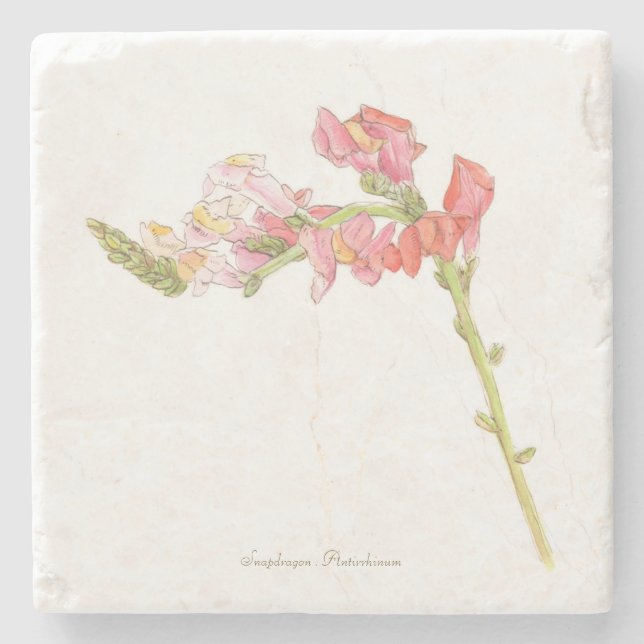 Dessous-de-verre En Pierre Snapdragon (Devant)