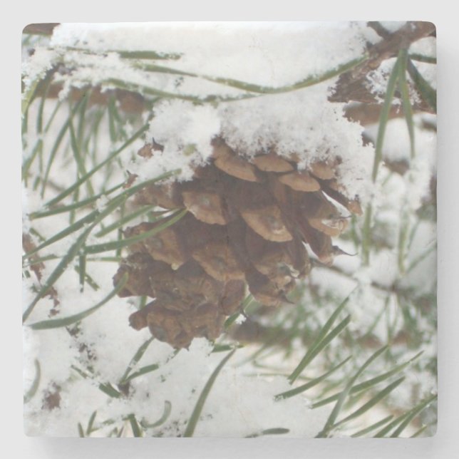 Dessous-de-verre En Pierre Snowy Pine Cone I (Devant)