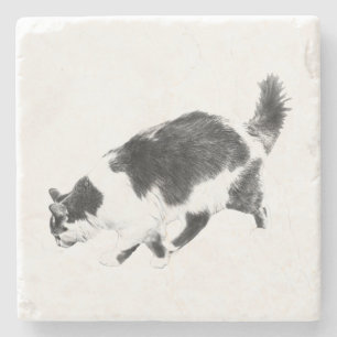 Dessous-de-verre En Pierre Sondage de chats dans les ombres d'automne