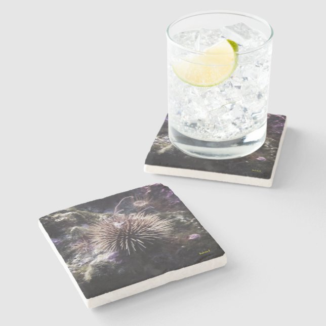 Dessous-de-verre En Pierre Sous-marin (Côté)