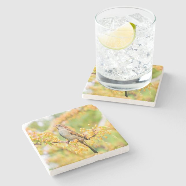 Dessous-de-verre En Pierre Spring time Sparrow (Côté)