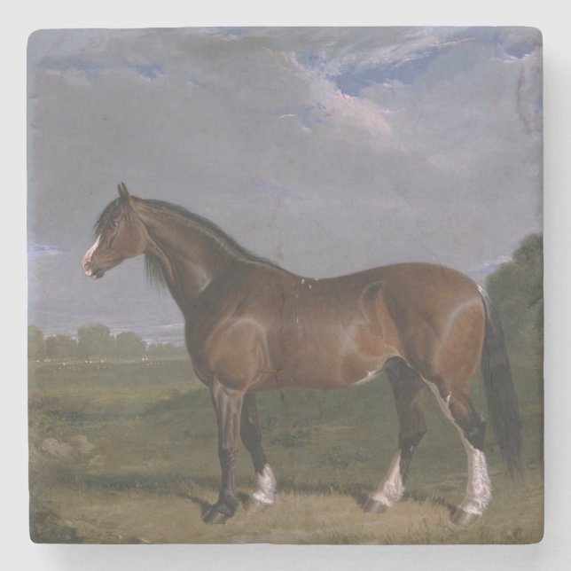 Dessous-de-verre En Pierre Stallion de Clydesdale (Thoroughbred Horse) (Anima (Devant)