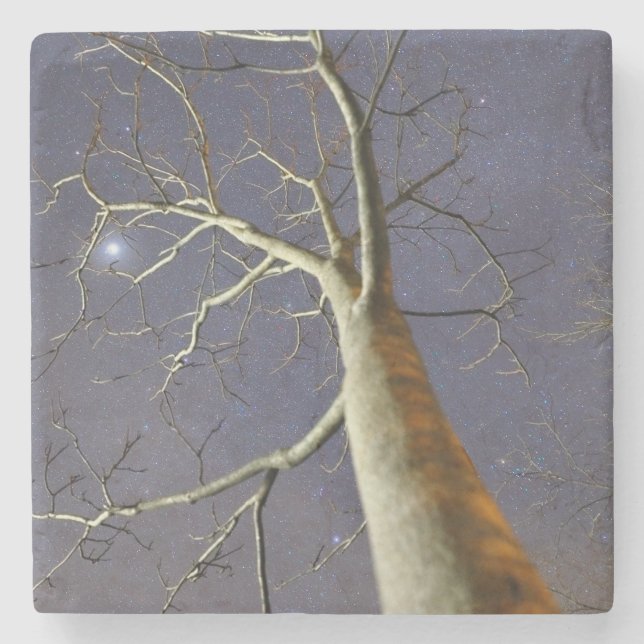 Dessous-de-verre En Pierre Starry_tree_coaster (Devant)