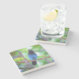 Dessous-de-verre En Pierre Steller's Jay Painting - Art original pour oiseaux