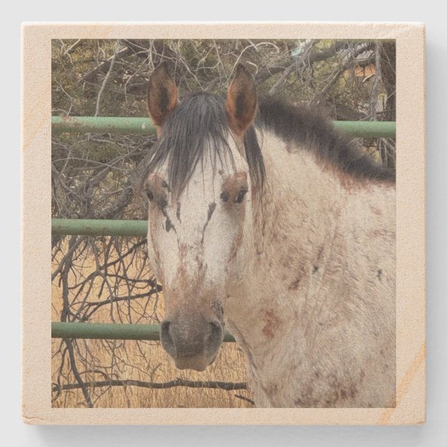 Dessous-de-verre En Pierre Stone Coaster- Happy Appy  (Devant)