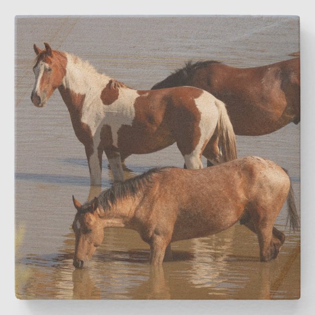 Dessous-de-verre En Pierre Stone Coaster_ mustangs dans l'eau  (Devant)