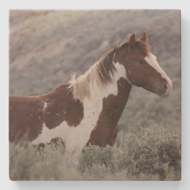 Dessous-de-verre En Pierre Stone Coaster_pinto stallion side  (Devant)