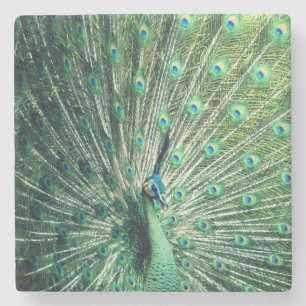 Dessous-de-verre En Pierre Strut Peacock