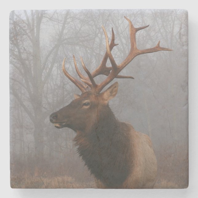 Dessous-de-verre En Pierre Stylish and Elegant Christmas Elk (Devant)