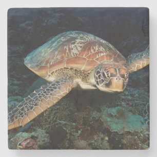 Dessous-de-verre En Pierre Sulawesi Tortue marine verte