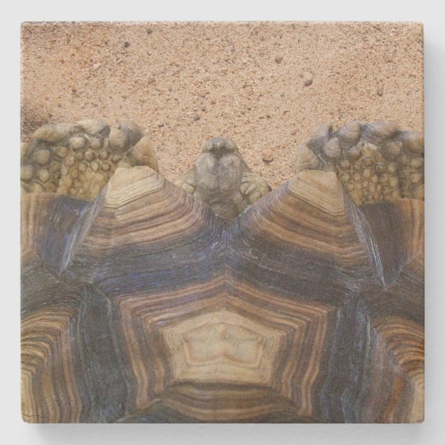 Dessous-de-verre En Pierre Sulcata Tortoise et Aimant de sable (Devant)