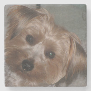 Dessous-de-verre En Pierre Super Sweet Yorkie Dessous de verre en pierre