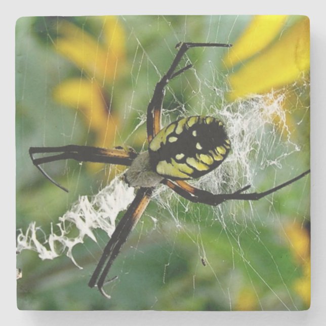 Dessous-de-verre En Pierre Superbe araignée orb dans une toile (Devant)
