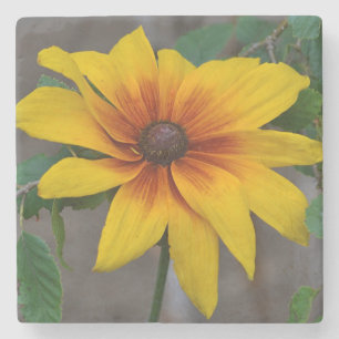 Dessous-de-verre En Pierre Susan Floral aux yeux noirs