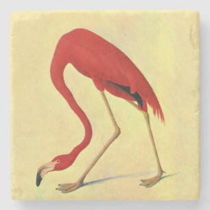 Dessous-de-verre En Pierre Tableau Flamant rose américain Audubon