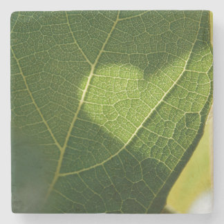 Dessous-de-verre En Pierre Tapis de verre en forme de cœur sur une feuille en