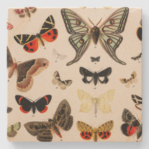 Dessous-de-verre En Pierre Tasse vintage papillon botanique