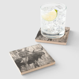 Dessous-de-verre En Pierre Teddy Roosevelt montant un orignal de Taureau