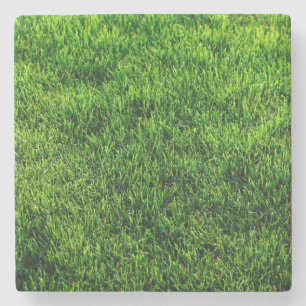 Dessous-de-verre En Pierre Texture d'herbe verte d'un terrain de football
