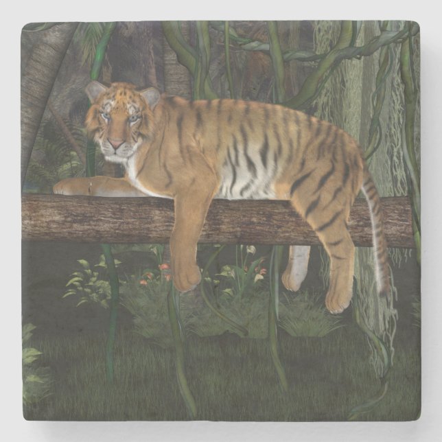Dessous-de-verre En Pierre Tigre (Devant)