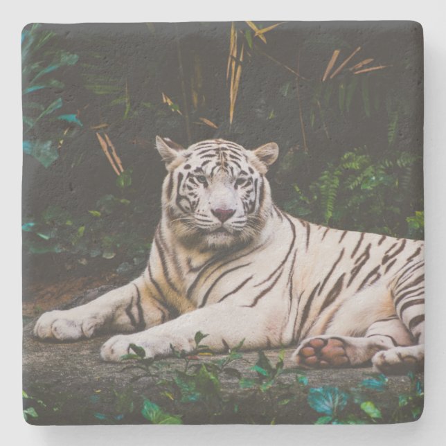 Dessous-de-verre En Pierre Tigre (Devant)