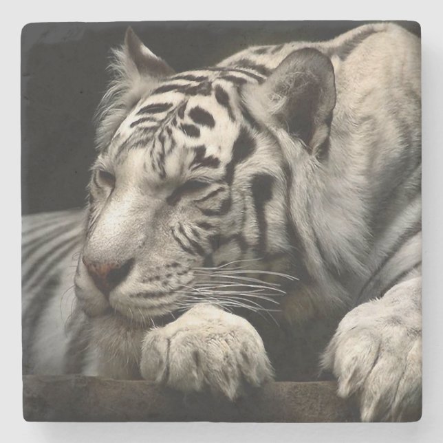 Dessous-de-verre En Pierre Tigre blanc (Devant)
