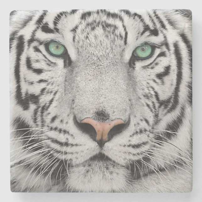 Dessous-de-verre En Pierre Tigre blanc (Devant)