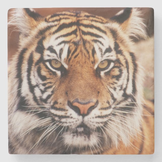 Dessous-de-verre En Pierre Tigre de Sumatra (Devant)