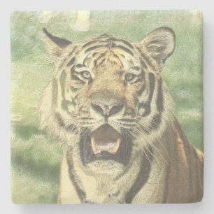 Dessous-de-verre En Pierre tigre métallique