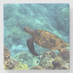 Dessous-de-verre En Pierre tortue de mer