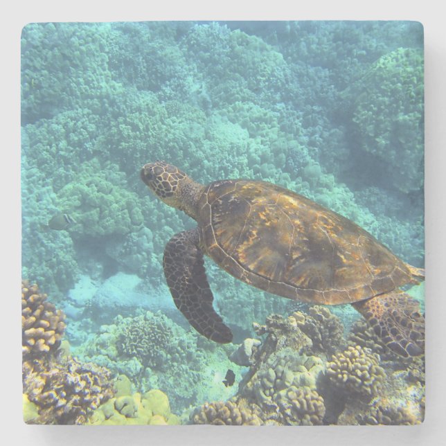 Dessous-de-verre En Pierre tortue de mer (Devant)