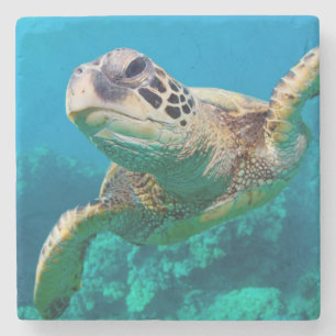 Dessous-de-verre En Pierre Tortue de mer verte nageant au-dessus du récif